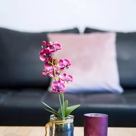 Apartment Ferienwohnung Alstaden 1 *